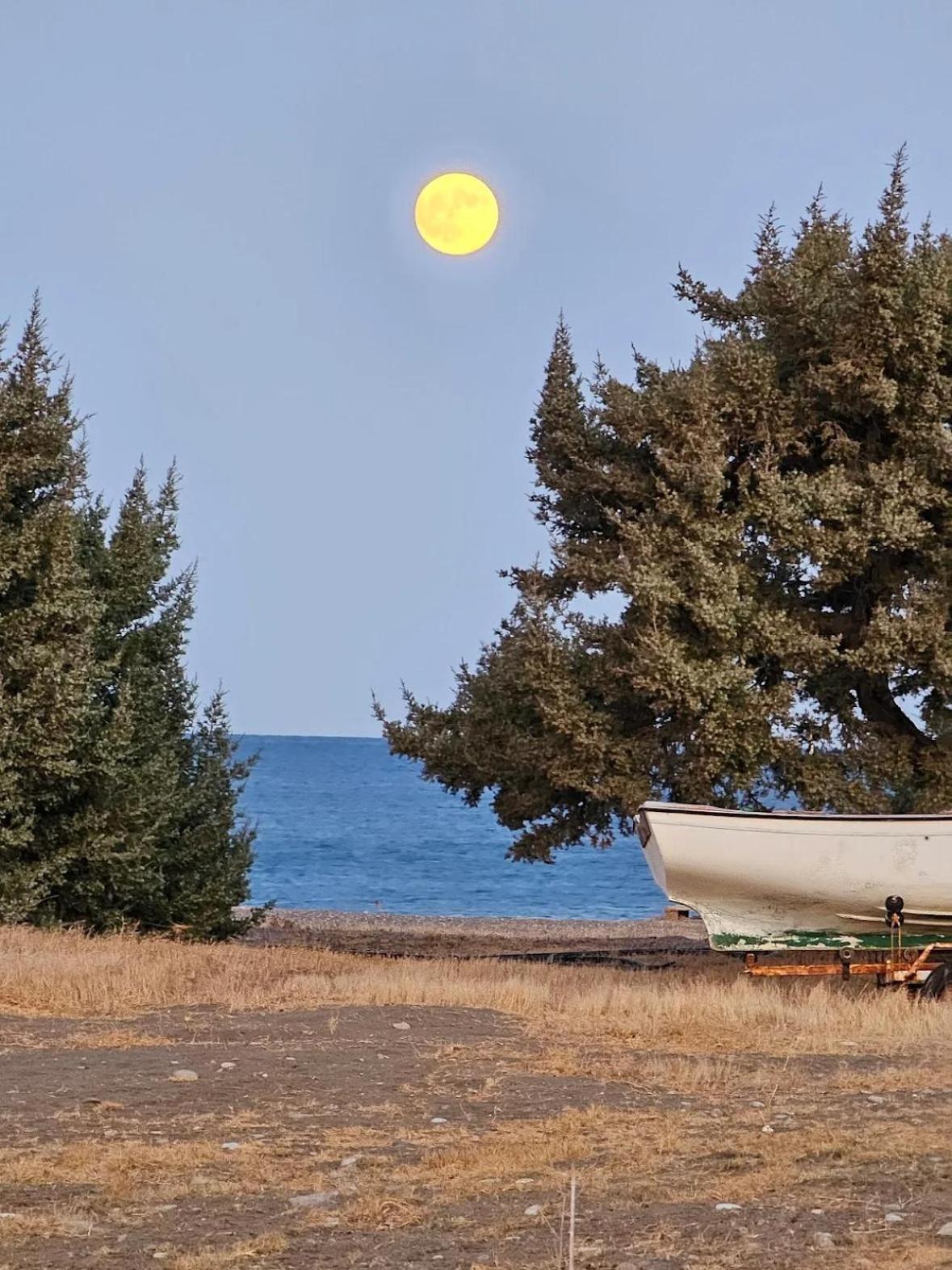 Holiday home Pearl Gennadi